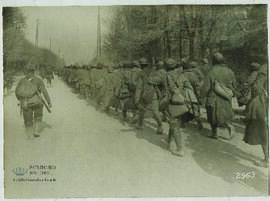 "636 Bei Craonne gefangene Franzosen werden hinter die Linie gebracht."