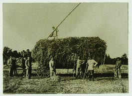 "1584 Heuernte in Kurland. Deutsche Soldaten beim Einfahren des Heues."