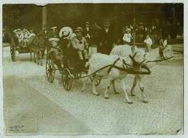"1029 Im Berliner Zoologischen Garten. Kinderbelustigung."