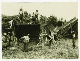 "1087 Deutsche Erntearbeiten im besetzten Gebiet. Das Ausdreschen des Getreides."
