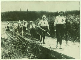 "1225 Wassersport der Berlinerinnen im Kriegsjahr 1917. Sonntagsausflug eines Damenrudervere...