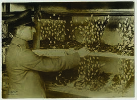 "1653 Beschäftigung von deutschen Kriegsbeschädigten und Verwundeten in deutschen Lazaretten...