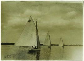 "1581 Segelregatta auf dem Müggelsee bei Berlin. Moment aus den Wettfahrten."