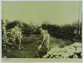 "1100 Deutsche Feldgraue beim Brennen von Holzkohlen im Sivrywald."