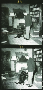 El príncipe Juan Carlos posa en compañía de su perro en su despacho del Palacio de la Zarzuela