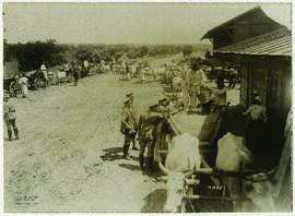 "1580 Der rumänische Erntesegen unter deutscher Verwaltung. Bauerngespann vor der Abnahmeste...