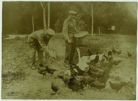 "1651 Beschäftigung von deutschen Kriegsbeschädigten und Verwundeten in deutschen Lazaretten...