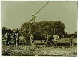 "1584 Heuernte in Kurland. Deutsche Soldaten beim Einfahren des Heues."
