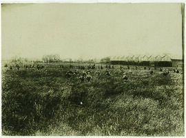 "1287 Übung von Pfadfindern."