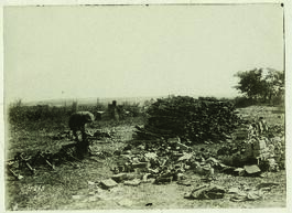 "1421 Auf dem Vormarsch nach Czernowitz. Beutesammelstelle bei Horodenka."