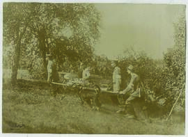 "1215 Der Hund im Sanitätsdienst. Sanitätssoldaten tragen einen gefundenen Verwundeten zum V...