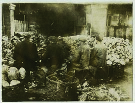 "1155 Gemüsezucht im besetzten französischen Gebiet unter deutscher Leitung. Der Weisskohl w...