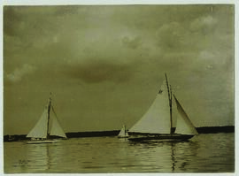 "1582 Segelregatta auf dem Müggelsee bei Berlin. Moment aus den Wettfahrten."