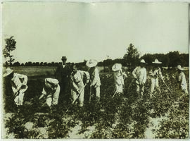 " Nr. 1022 Zöglinge einer landwirtschaftlichen Erziehungsanstalt in der Nähe Berlins beim Ka...