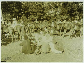 "1414 Die rumänische Landwirtschaft unter deutscher Verwaltung. Pferdemusterung bei Segarcea...