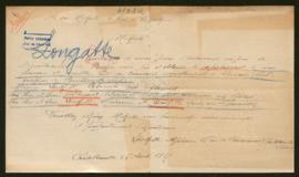 Expediente de Blanche Longatte Noblecourt y las familias Noblecourt Millard y Longatte Dhouailly