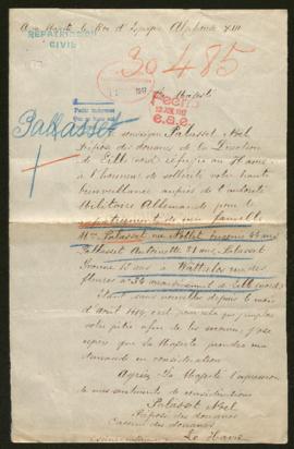 Expediente de la familia Palasset Nollet