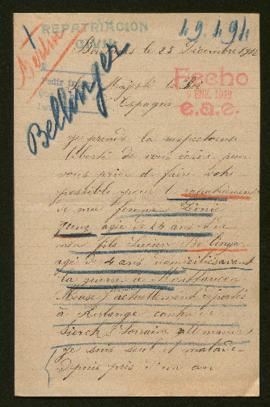 Expediente de la familia Bellinger-Jung