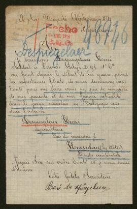 Expediente de Henri Despiegelaer y familia