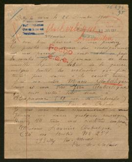 Expediente de las familias Auberlique y Demartin Bailliez