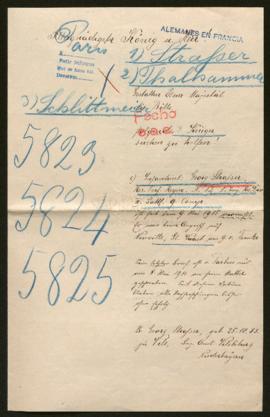 Expediente de Georg Strasser, Johann Thalhammer y Josef Schlittmeier